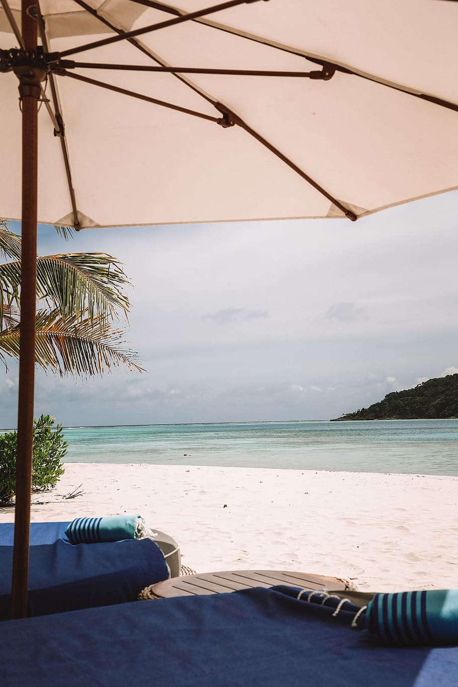 beige parasol, water, sea, sky, beach, land, scenics - nature HD wallpaper