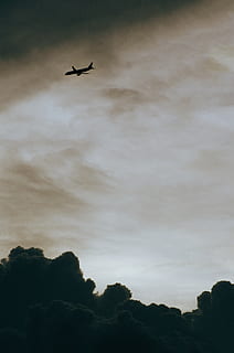 flying passenger plane under cloudy sky, bird, animal, vehicle HD wallpaper