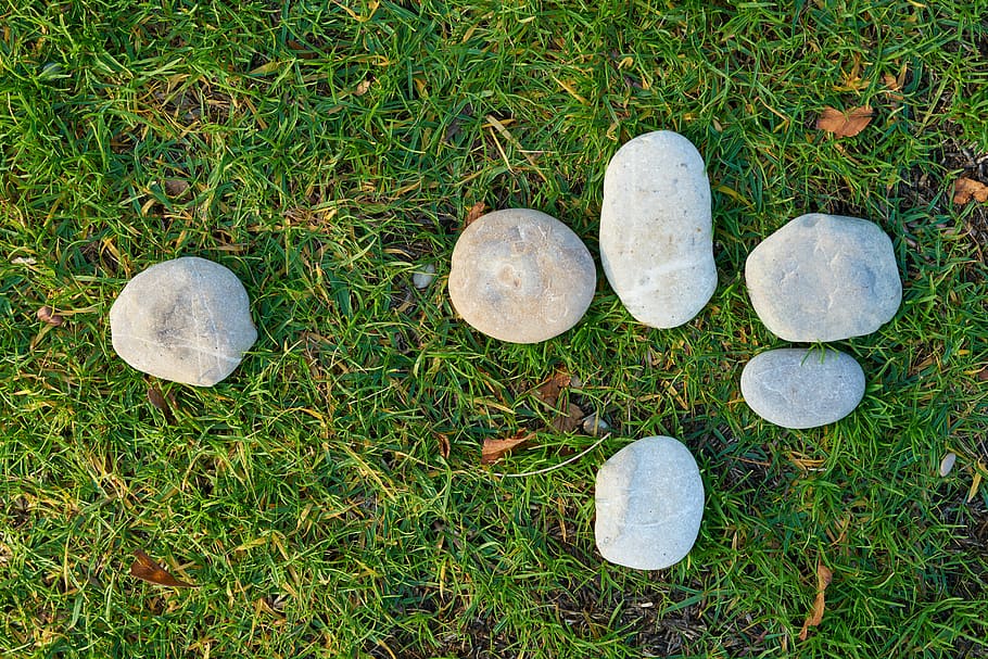 Six Gray Stone on Lawn Grass, background, color, field, from above HD wallpaper