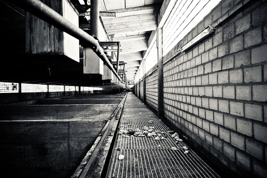 Grayscale Photography of a Pathway, abandoned, architecture, black-and-white HD wallpaper