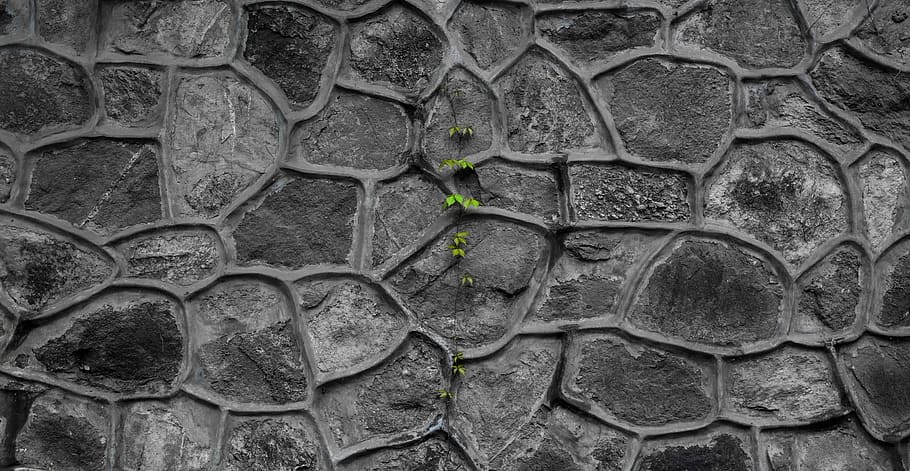 building, wall, no people, full frame, day, backgrounds, pattern HD wallpaper
