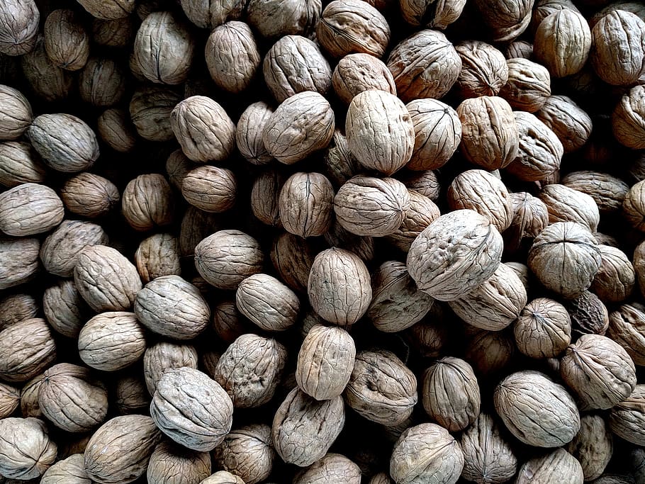 bundle of white seeds, full frame, backgrounds, large group of objects HD wallpaper