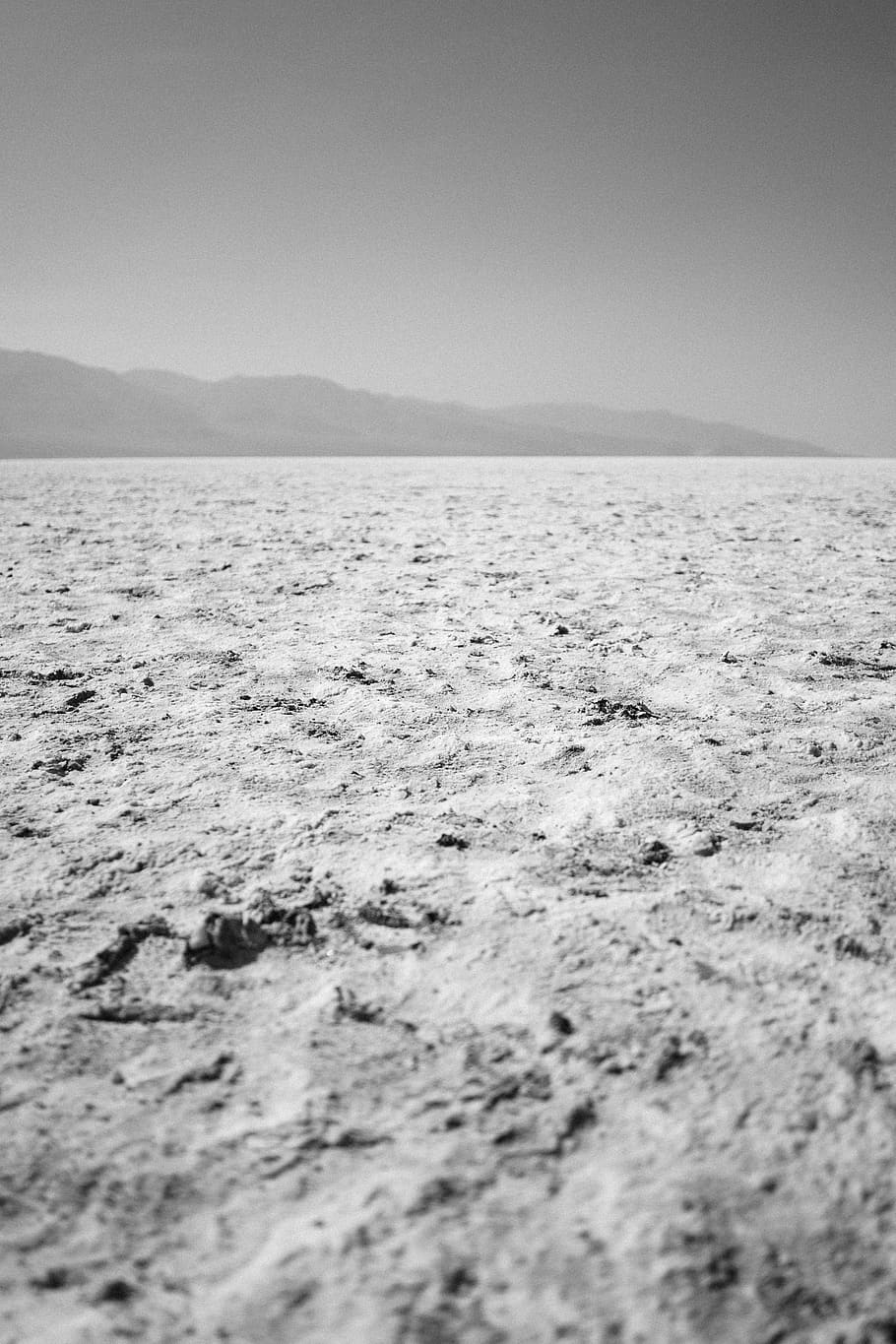 snow field during daytime, sea, water, tranquility, tranquil scene HD wallpaper