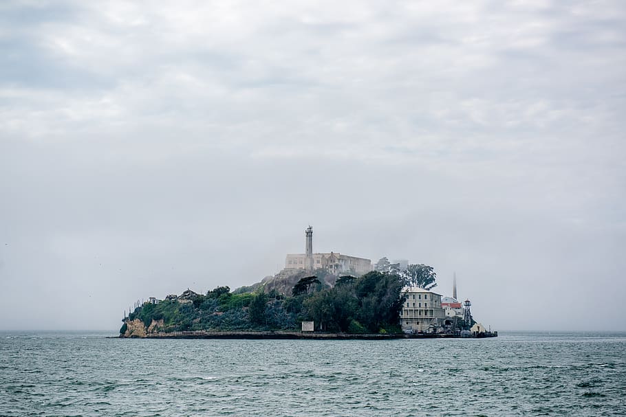 san francisco, united states, alcatraz island, trees, remote, HD wallpaper