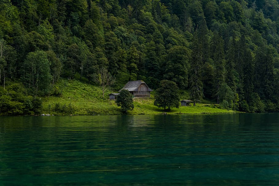 königssee, lake, water, blue-green water, nature, landscape, HD wallpaper