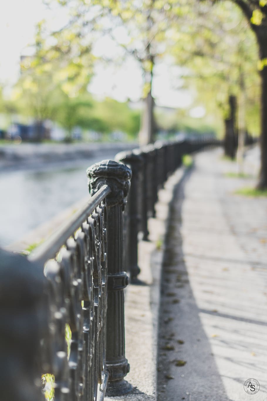 romania, bucharest, walk, air, fresh, bokeh, trees, urban art HD wallpaper
