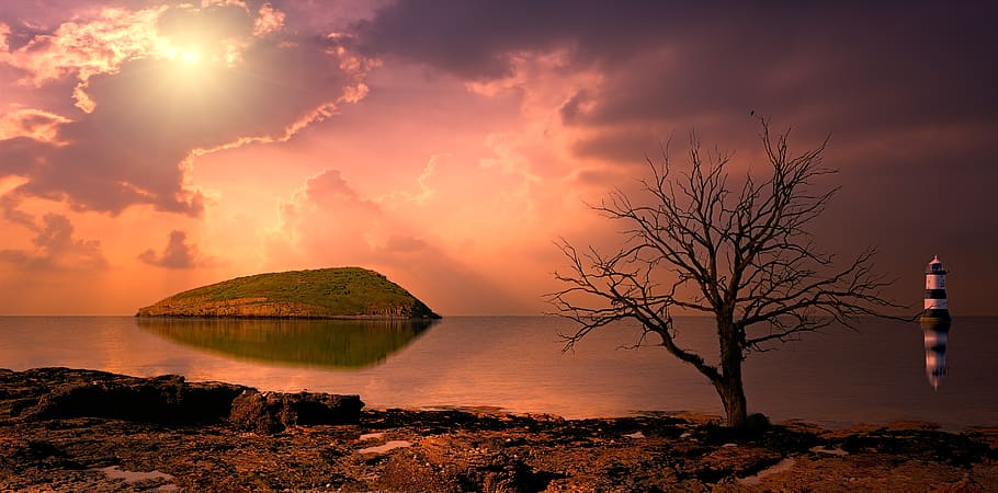 ocean, clouds, coast, tree, lighthouse, beach, sea, island HD wallpaper