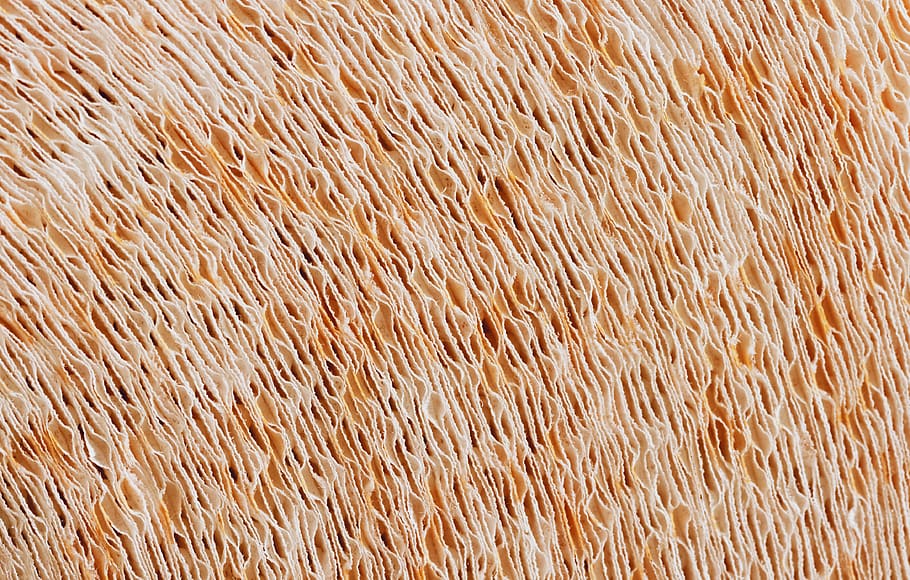 rug, texture, skin, pattern, white, fractal, ornament, oval HD wallpaper