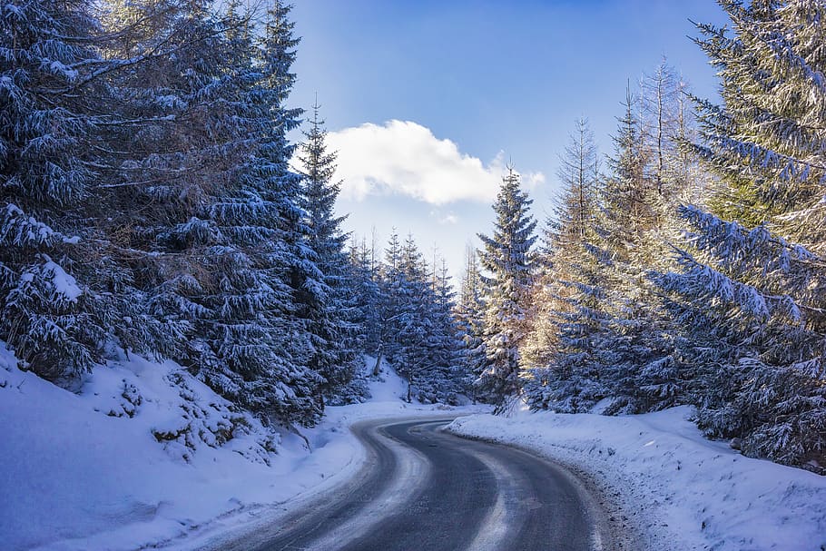 winter, snow, mountains, road, forest, pine, windy, sky, clouds HD wallpaper
