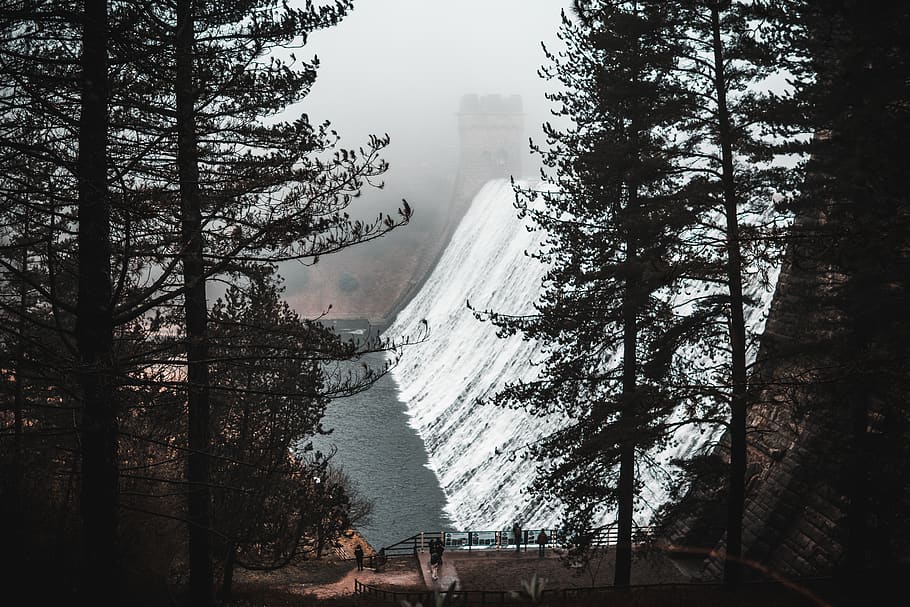 falls raging, tree, plant, water, nature, day, architecture, no people HD wallpaper
