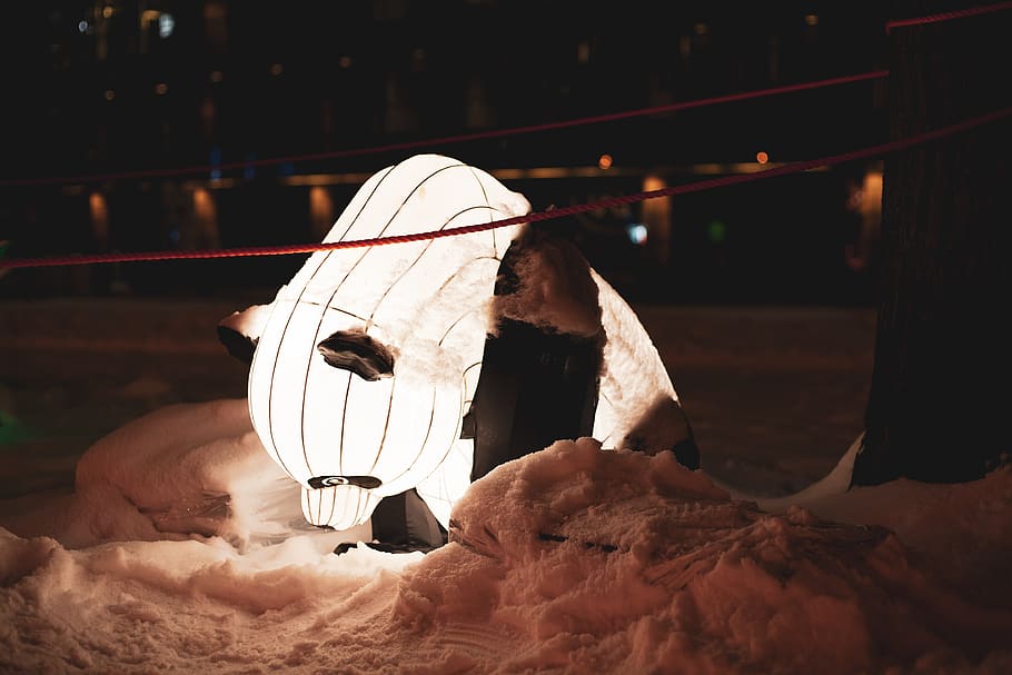 lighted white panda decor, nature, outdoors, shelter, building HD wallpaper