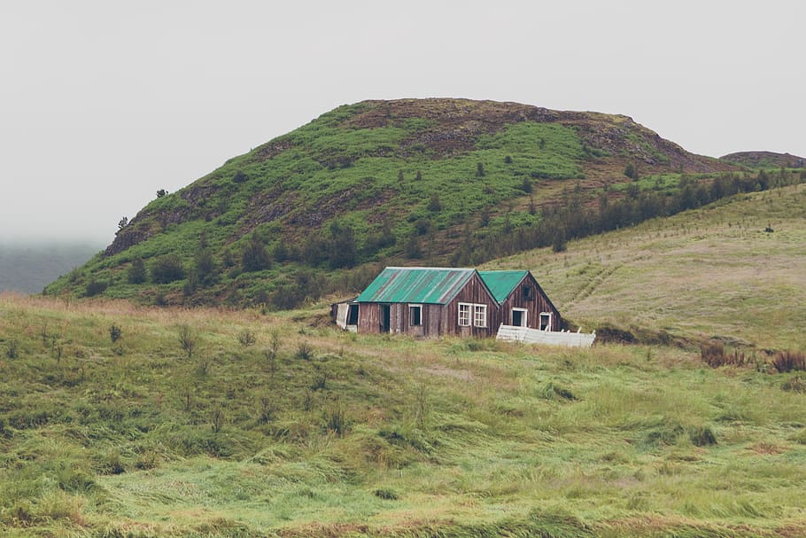 iceland, geysir, grass, plant, built structure, architecture HD wallpaper