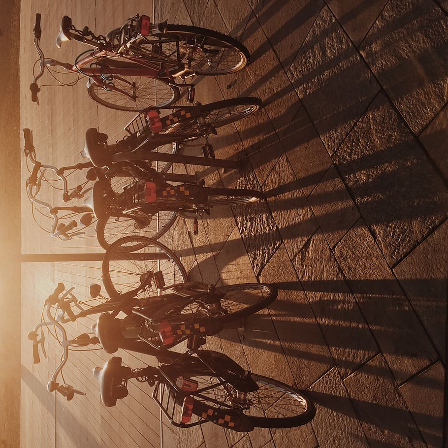 barcelona, spain, bicycle, shadows, sunshine, transport, indoors HD wallpaper