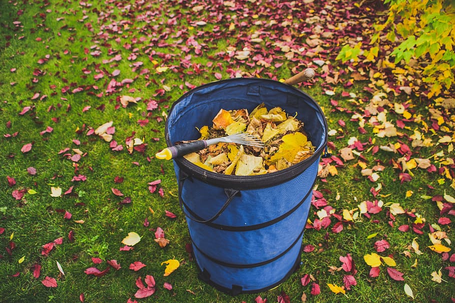 leaf, garden, fall, yard work, pick up leaves, season, color HD wallpaper