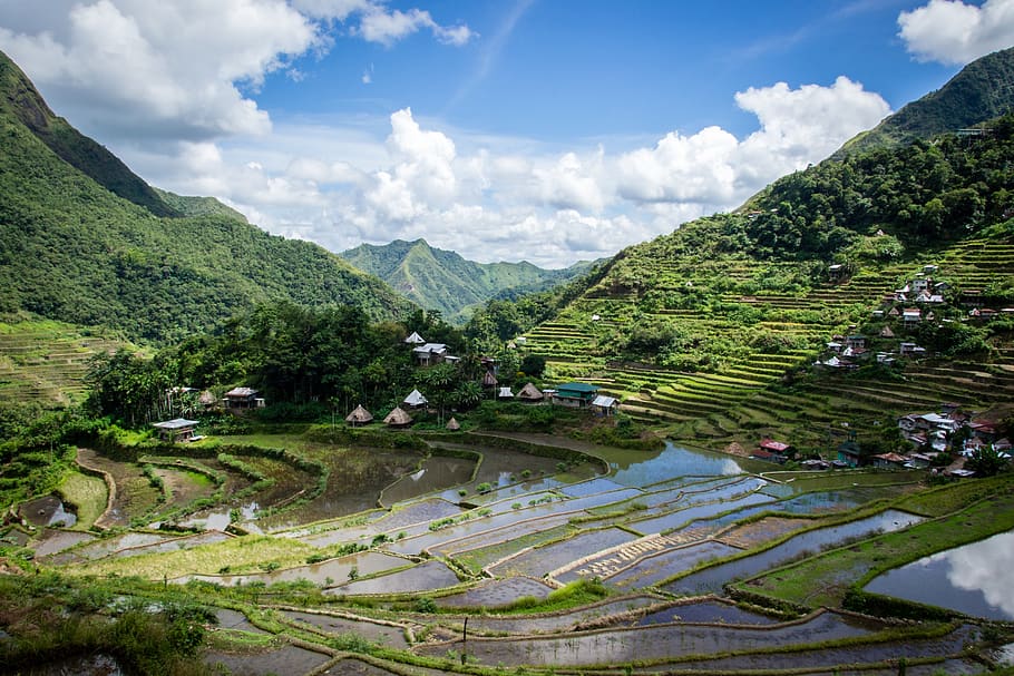 philippines, rice terraces, batad, plant, scenics - nature, HD wallpaper