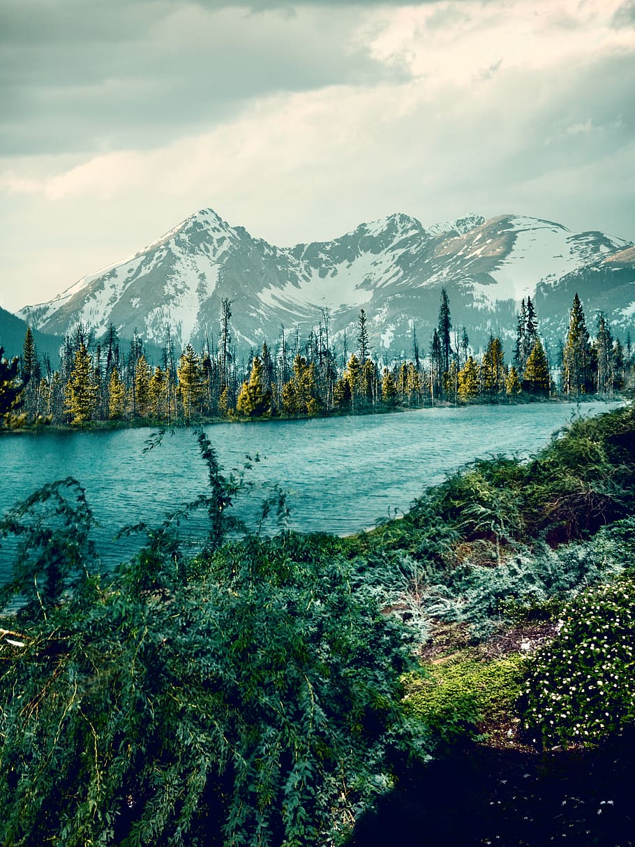 trees, river, mountain, forest, landscape, nature, beauty, natural HD wallpaper
