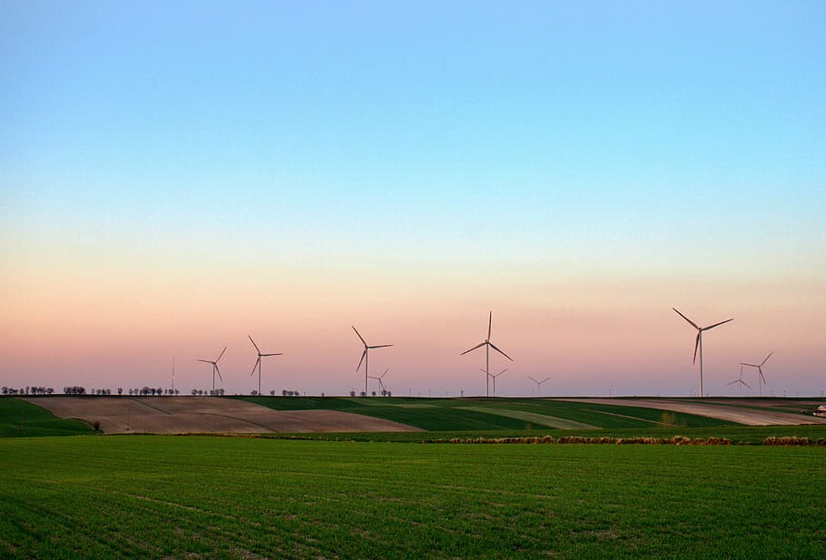renewable, windmills, energy, sky, blue sky, nature, season HD wallpaper