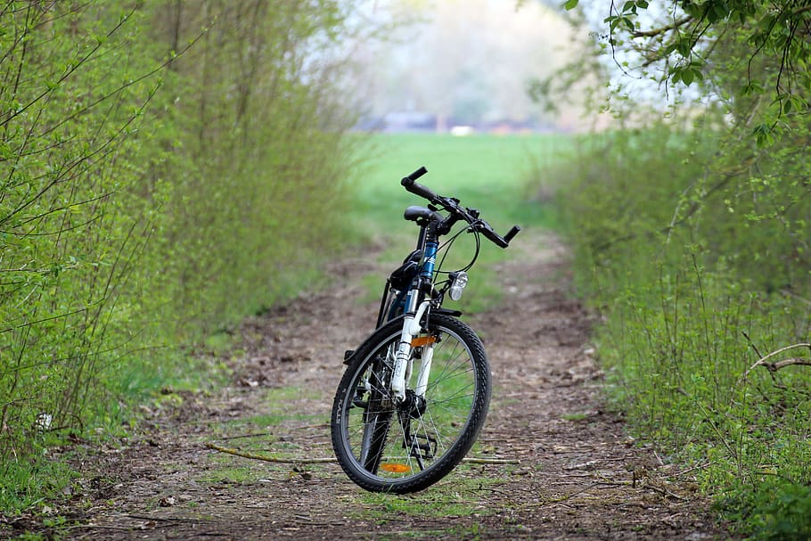 bike, forest path, nature, spring, bike ride, bicycle, transportation HD wallpaper