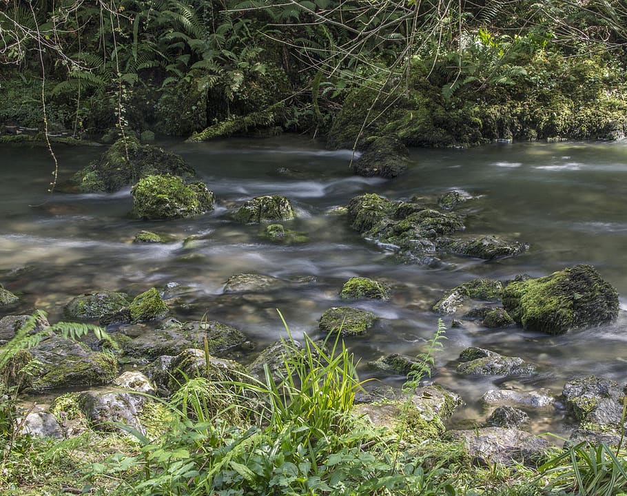 spain, colunga, obaya, river, trees, water, plant, beauty in nature HD wallpaper