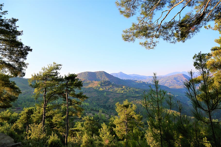 landscape, nature, forest, mountains, trees, sky, rural, environmental HD wallpaper