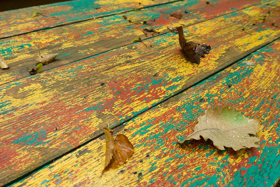 autumn, texture, wood, leaf, wood - material, no people, old HD wallpaper