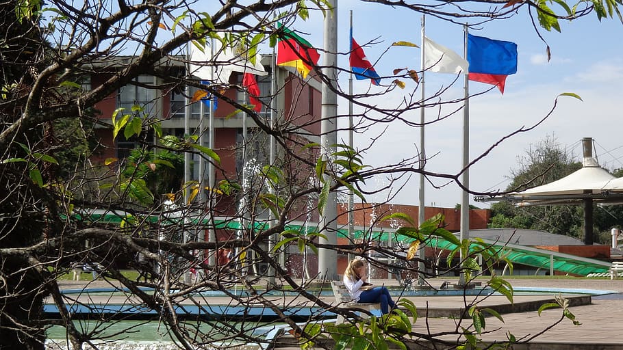 tree, bench, woman, flags, college, cell phone, building exterior HD wallpaper
