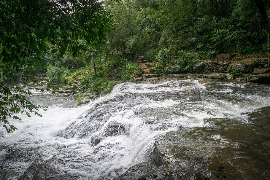 Landscape Photography of River in Forest, clouds, daytime, environment HD wallpaper