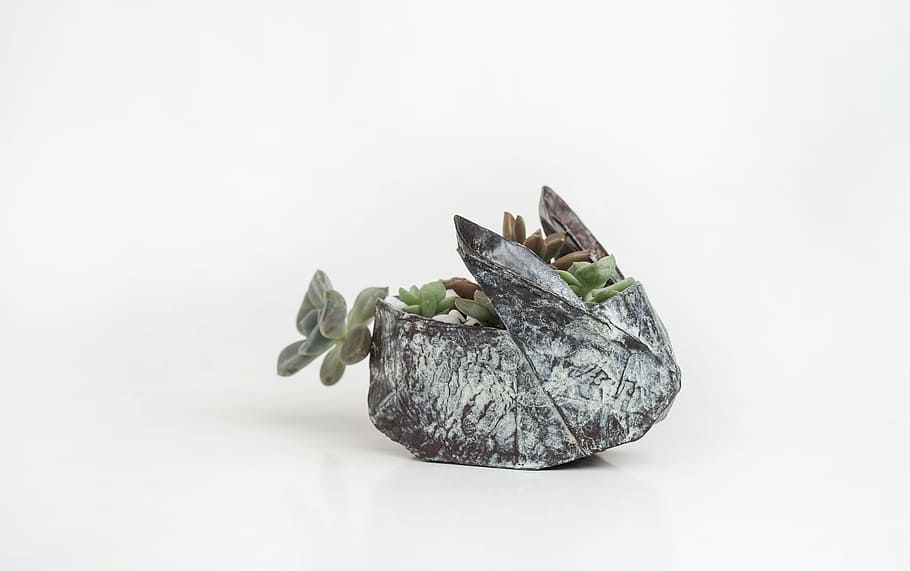 green succulent, art, copper, rabbit, sculpture, creative, minimalism HD wallpaper