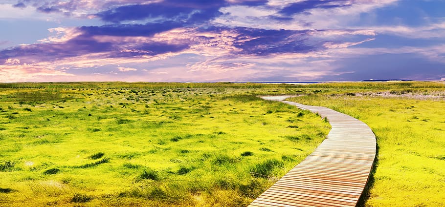 Brown Wooden Dock, clouds, country, environment, field, grass HD wallpaper