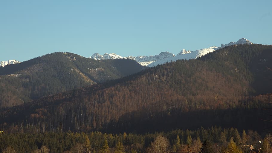 mountain and sky, mountain range, nature, outdoors, plant, tree HD wallpaper