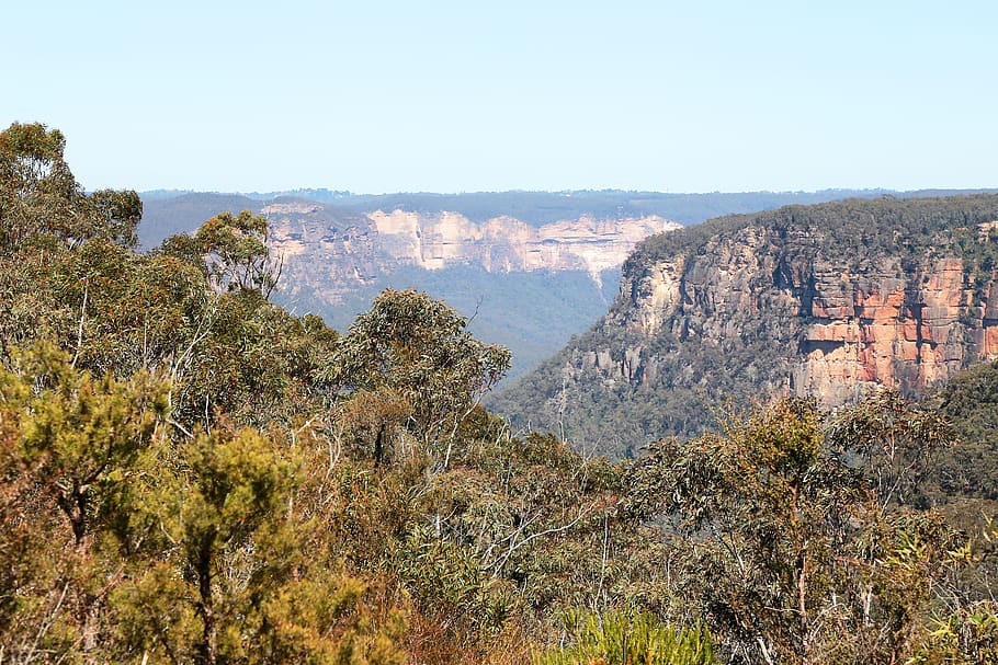 australia, blue mountains, tree, plant, nature, scenics - nature HD wallpaper