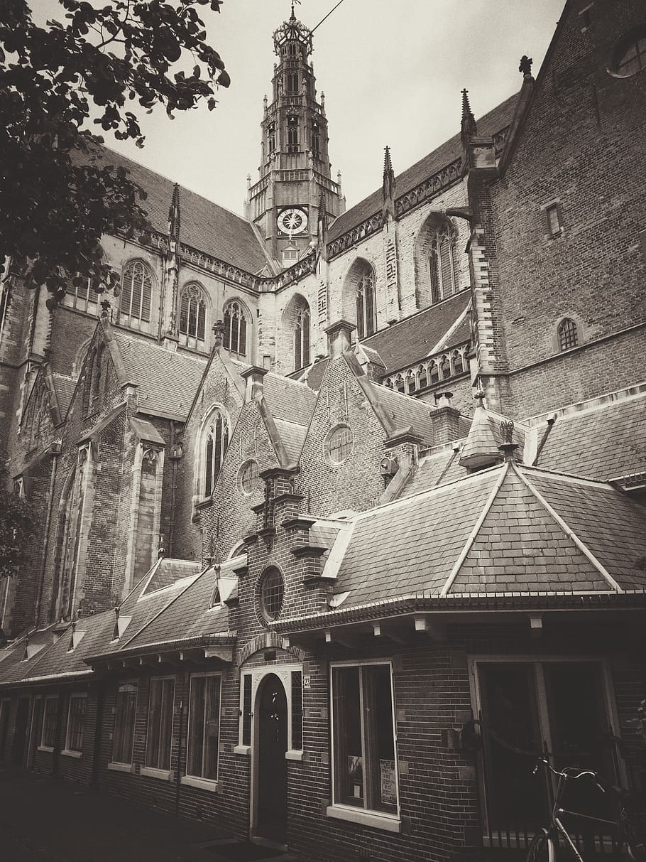 netherlands, haarlem, gothic, built structure, architecture HD wallpaper