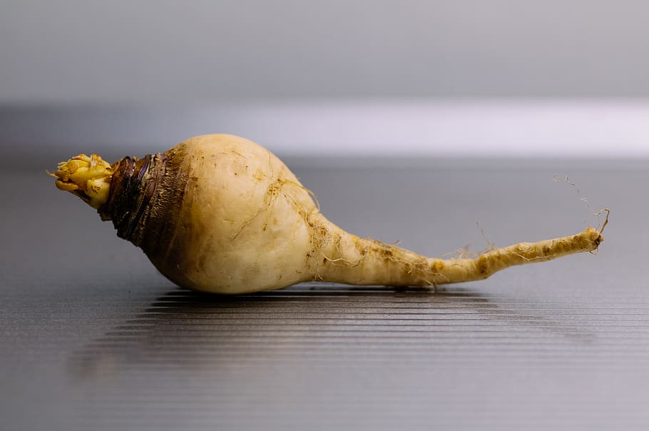 united states, ithaca, veggie, kitchen, chef, lightbox, food HD wallpaper