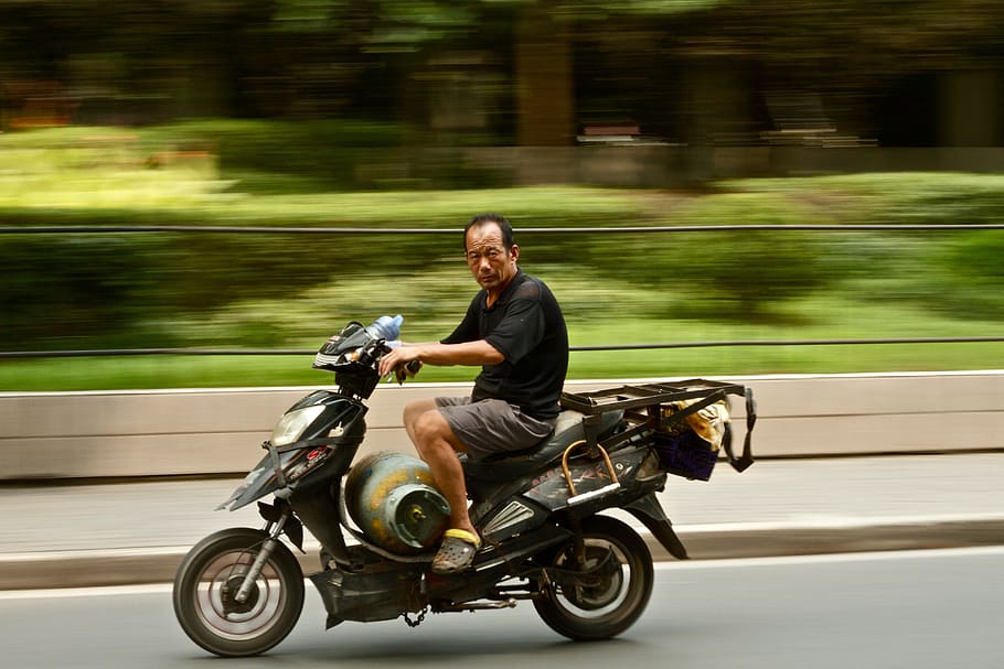 guy, man, motorcycle, riding, road, gas, tank, trees, grass HD wallpaper