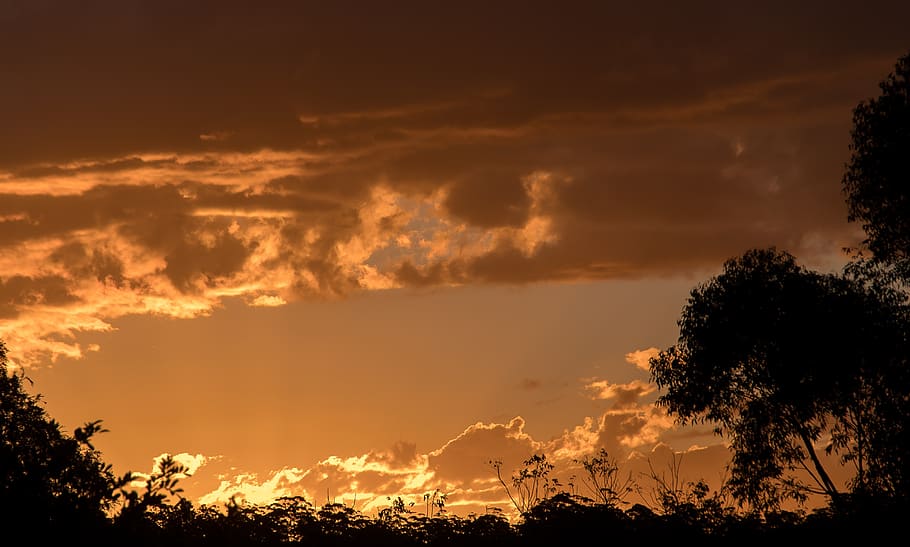 sunset, sky, clouds, weather, grey, gold, cloudscape, horizon HD wallpaper