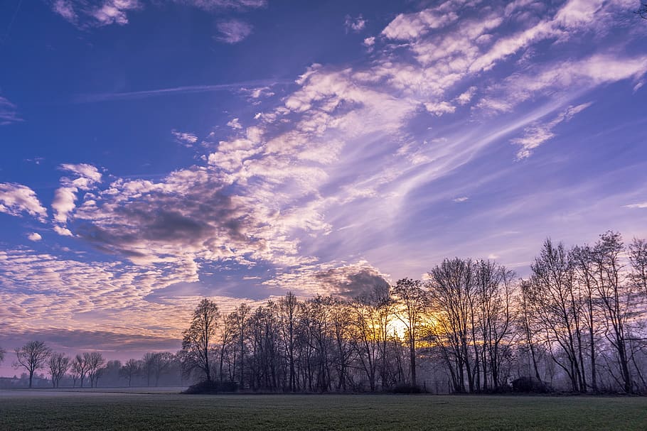 sunset, winter mood, nature, sky, trees, beauty in nature, tranquil scene HD wallpaper