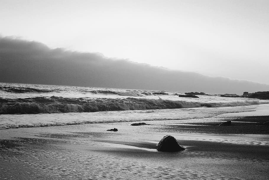 united states, pescadero, pigeon point road, beach, black and white, HD wallpaper