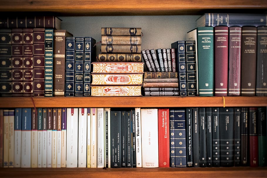 Books in Shelf, book shelves, book stack, bookcase, bookshelves, HD wallpaper