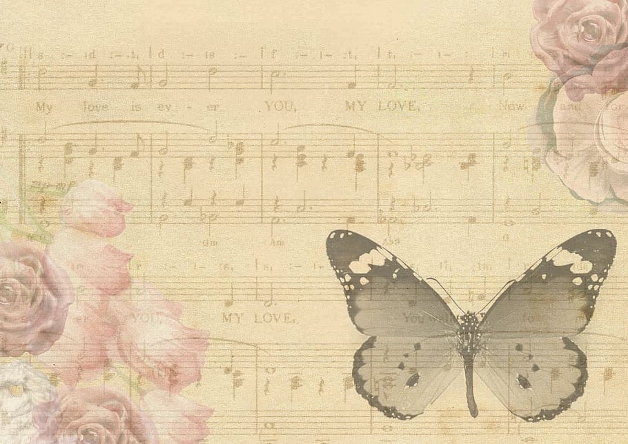 brown, background, butterfly, graphics, art and craft, architecture HD wallpaper