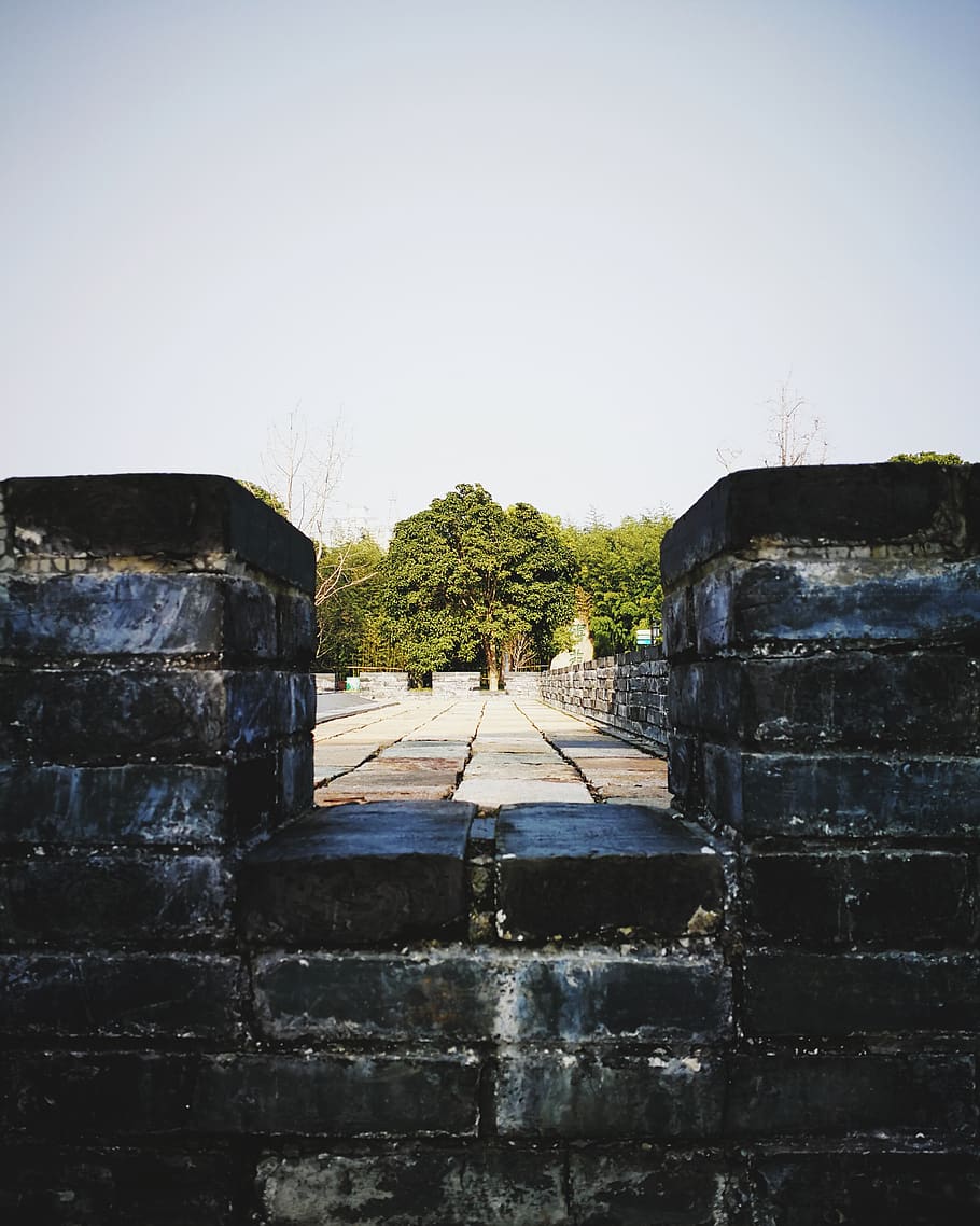 中国, 泰州市, china, tree, wall, sky, architecture, clear sky HD wallpaper