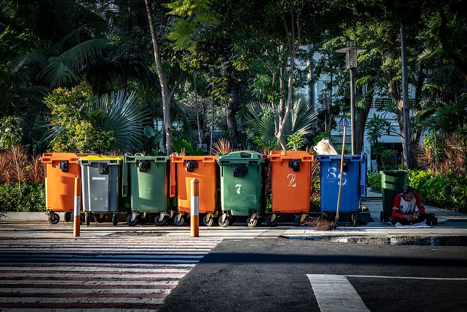 HD wallpaper: tree, plant, nature, garbage bin, day, city, road