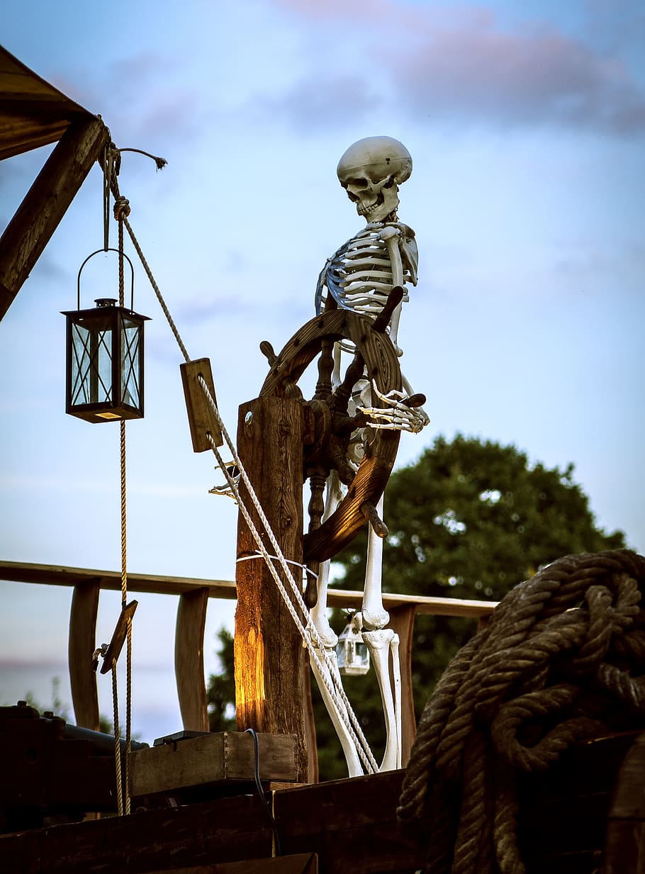 skeleton, starboard, ship, lamp, figure, captain, dew, funny HD wallpaper
