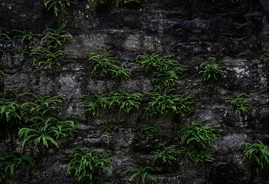 wall, background, texture, pattern, structure, stone, grey HD wallpaper