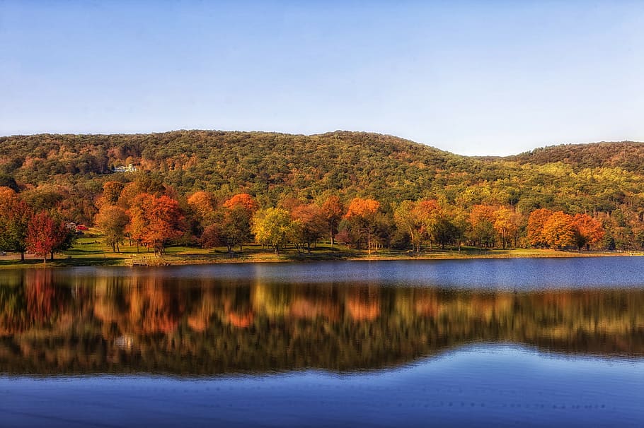 squantz, pond, river, water, flow, lake, nature, landscape HD wallpaper