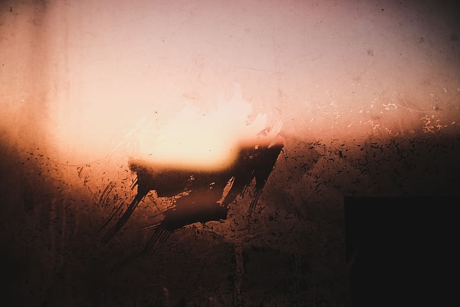 outdoors, bonfire, flame, nature, animal, art, mammal, silhouette HD wallpaper
