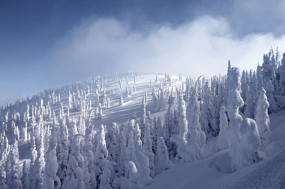snow, winter, cold, weather, nature, outdoor, travel, mountain HD wallpaper
