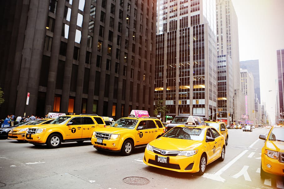 Yellow Vehicles at the Street, cabs, cars, city, high-rises, new york HD wallpaper
