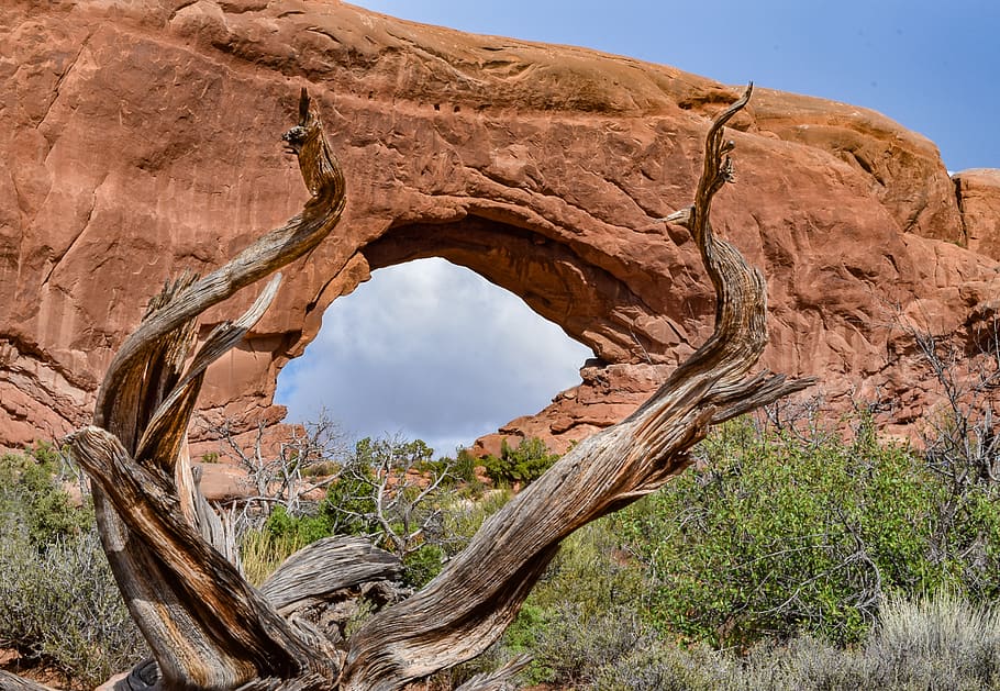 united states, moab, rock - object, rock formation, solid, plant HD wallpaper