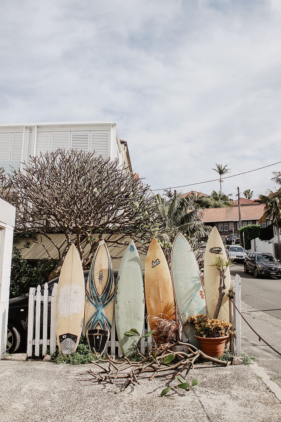 six assorted-color surfboards on fence, tree, city, street, cloud
