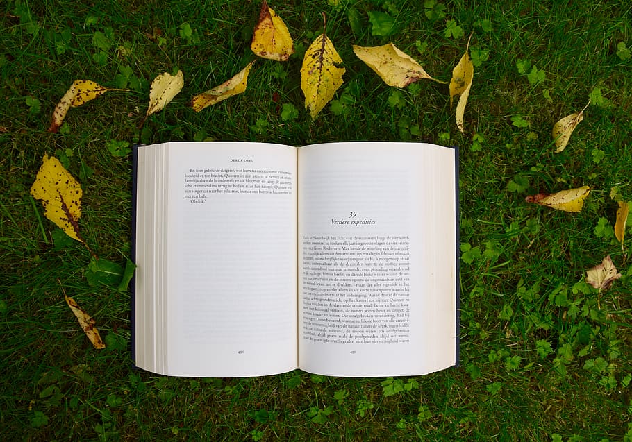 opened book on grass during daytime, reading, page, paper, nature HD wallpaper